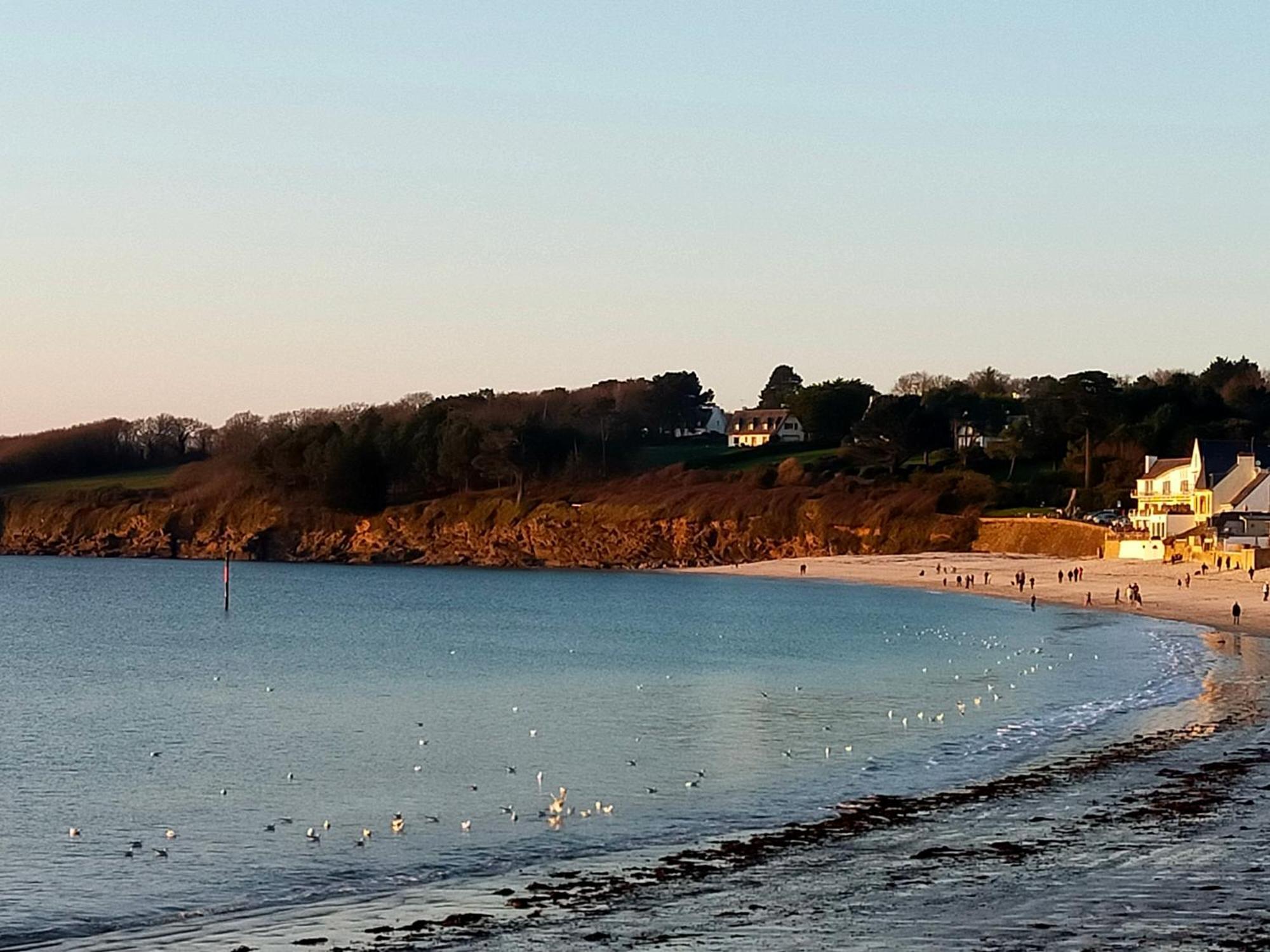 L'Elephant Blanc De Concarnoloc Concarneau Rom bilde